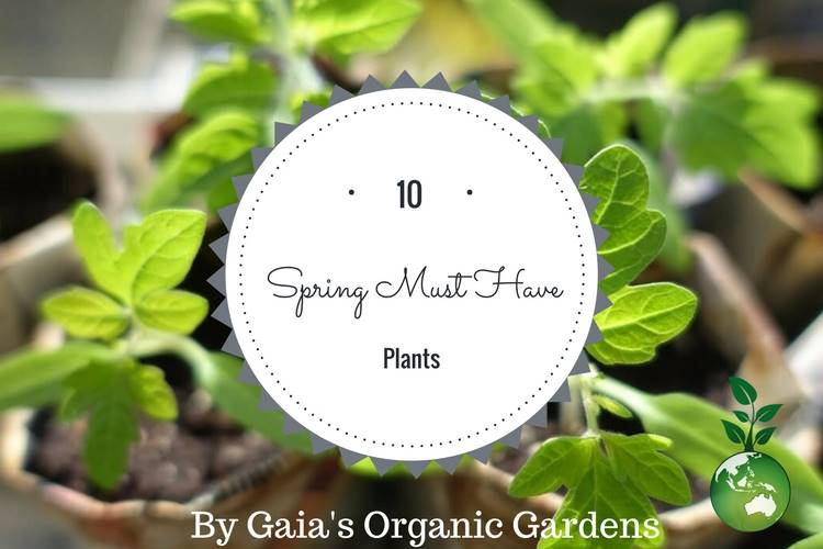 10 Spring Must Have Plants