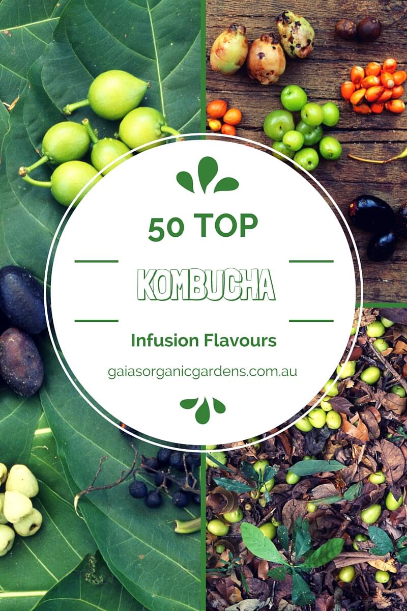 50 of the best kombucha infusions EVER.