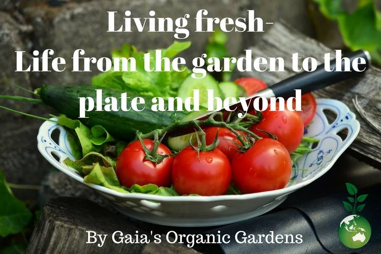 Living Fresh – Life From The Garden To The Plate, And Beyond.