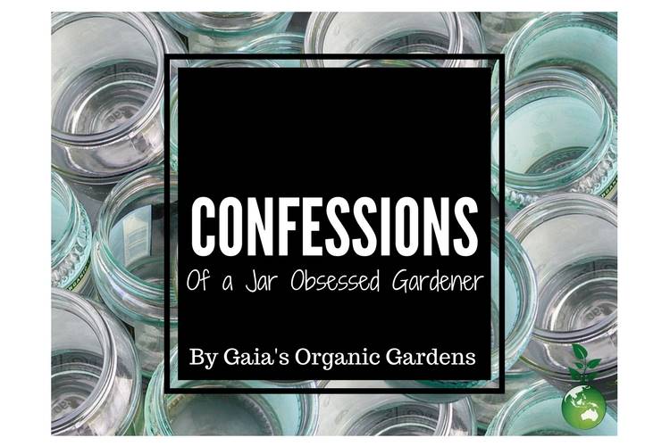 Confessions of a Jar Obsessed Gardener