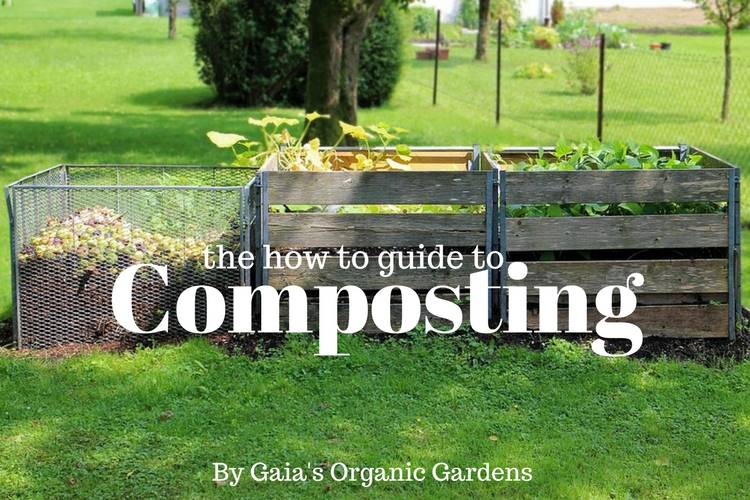 The How To Guide To Composting