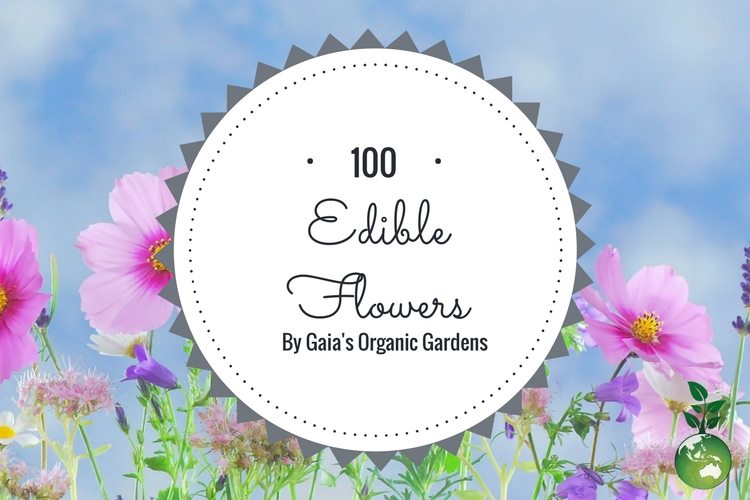 100 Edible Flowers
