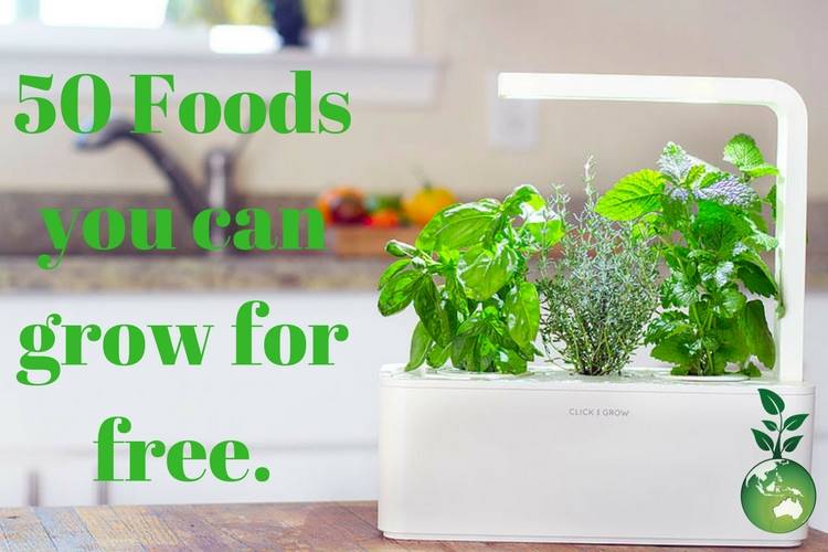 50 Foods you can grow for free