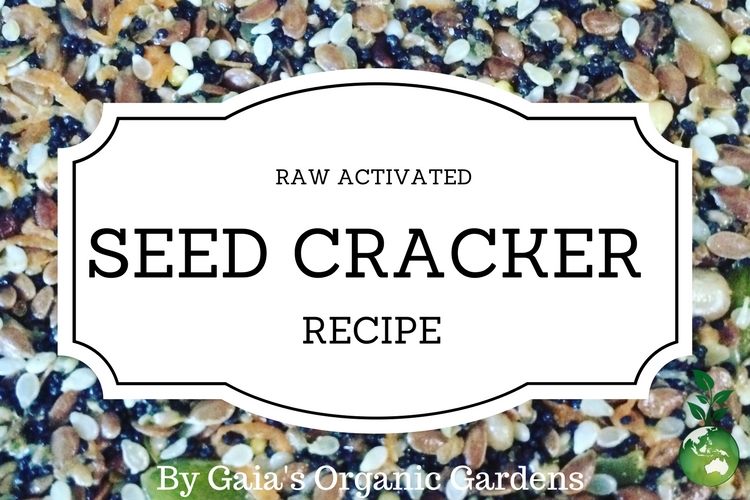 Raw Activated Seed Cracker Recipe