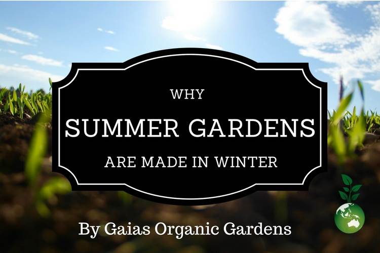 Why Summer Gardens are made in Winter?