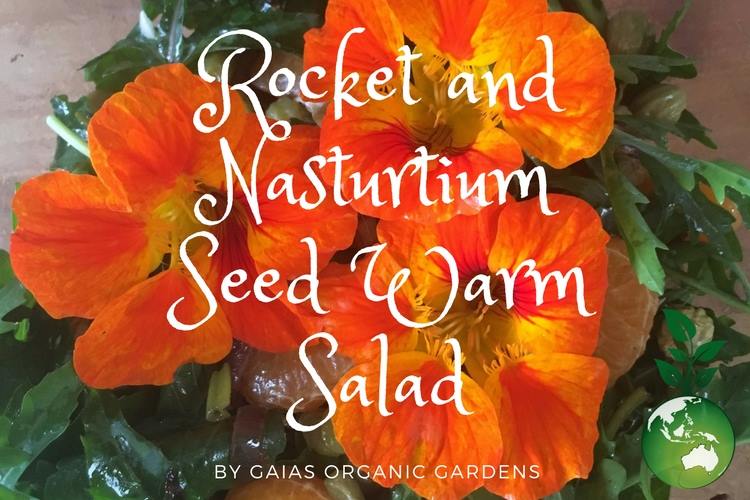 Warm Nasturtium Seed & Rocket Salad