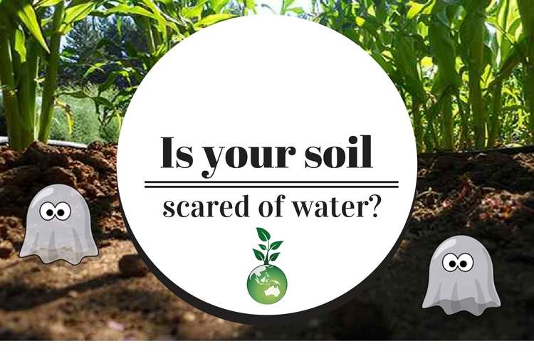 Is your soil scared of water?