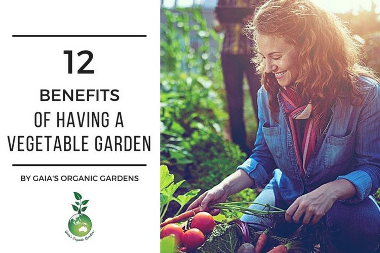 12 Benefits of Having a Vegetable Garden