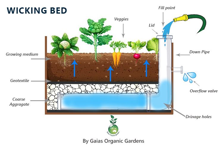 How To Make A Wicking Bed Gaias, How To Build A Wicking Garden Bed