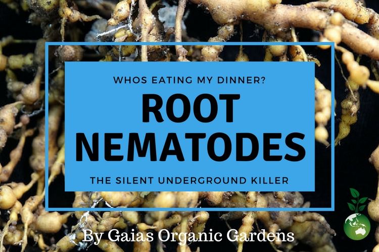 Nematodes!…Nema-heard of them?