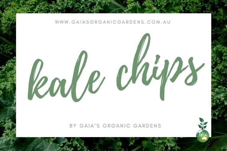 Kale Chips