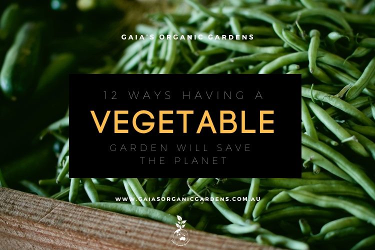 12 Ways Having a Vegetable Garden Will Save the Planet