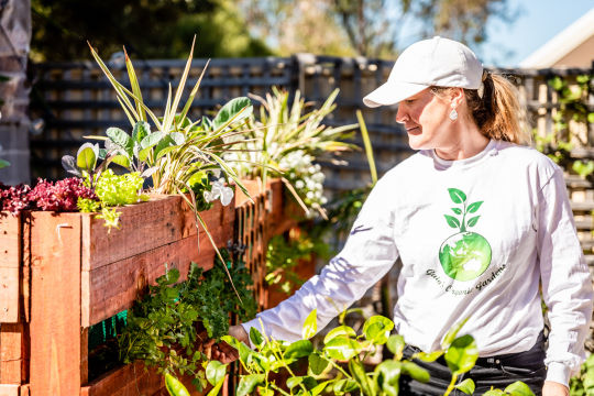 Coaching and Mentoring