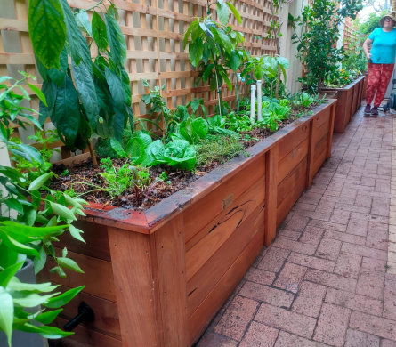 organic garden