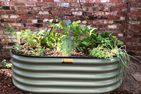 Organic Vegetable Gardens