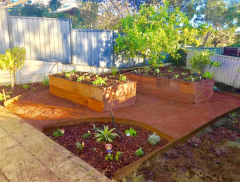 wooden garden beds