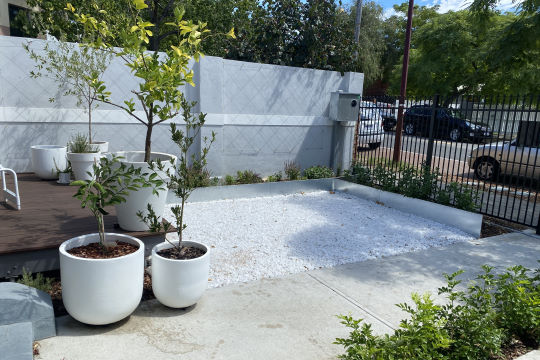 Garden Consultations